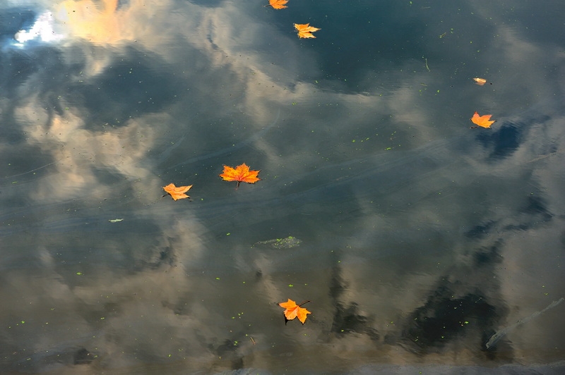 秋冬时节绚烂的雨湖